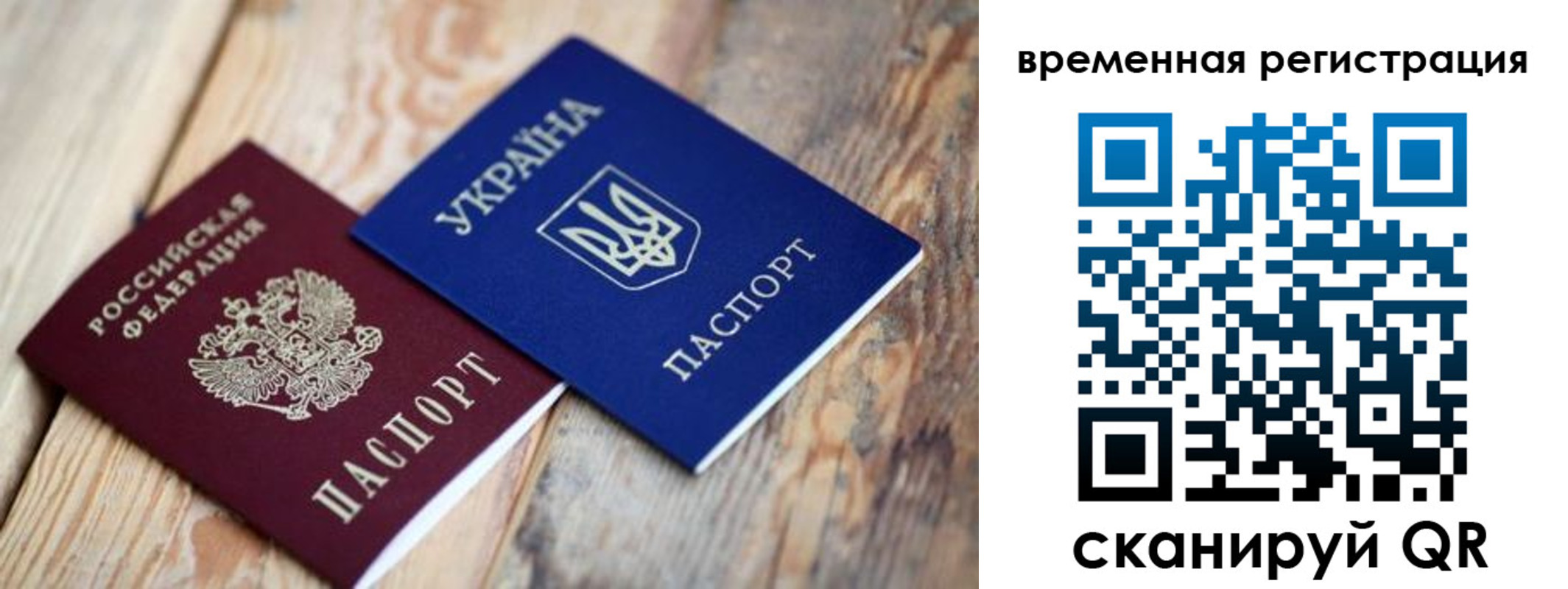 прописка 2025 в Светогорске
